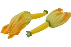 Courgette bloem geel